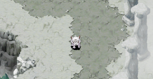 어린 백호의 보주